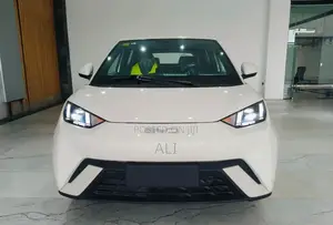 New BYD Seagull 2025 White