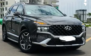 Hyundai Santa Fe Plug-In Hybrid 2023 Gray