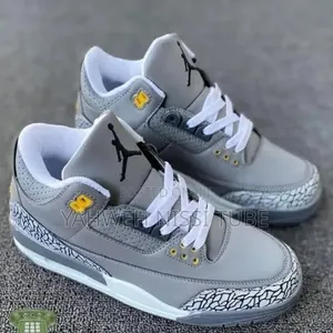 Nike Air Jordan 3 Retro "Cool Grey"