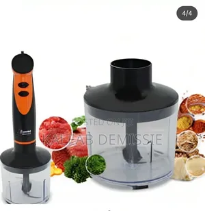 4 in 1 Sayona Hand Blender