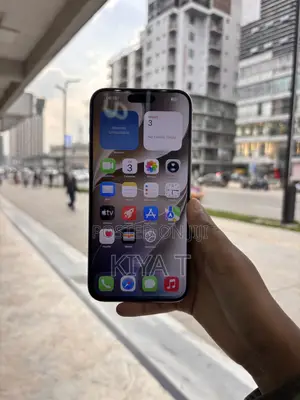 Apple iPhone 15 Pro Max 256 GB Silver