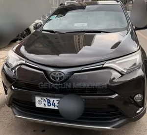 Toyota RAV4 2018 Burgundy