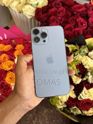 Apple iPhone 13 Pro Max 256 GB Blue