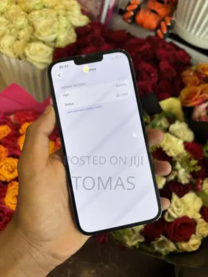 Apple iPhone 13 Pro Max 256 GB Blue