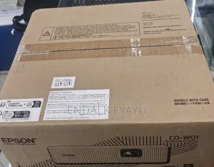 Epson Projector Co-W01