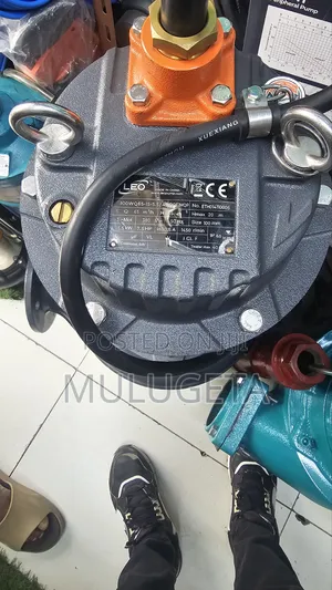 Leo Diwetering Pump 7.5 Hp