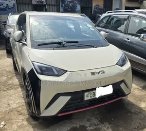 BYD Seagull 2024