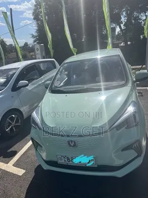 Changan BenBen E-Star 2024 Green