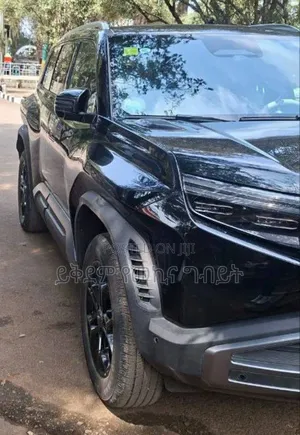 BYD Leopard 3 2025 Black