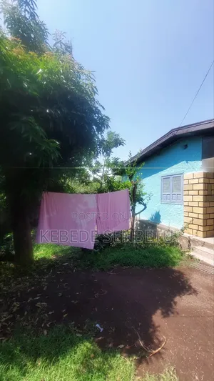 3bdrm House in Oromia, East Shewa for rent