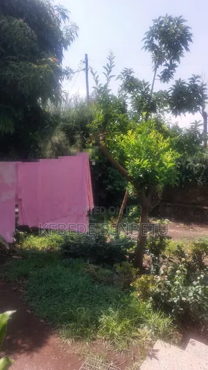3bdrm House in Oromia, East Shewa for rent
