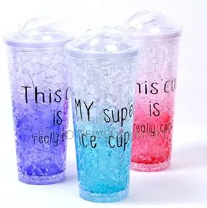 Plastic Cups With Straw, Lids,Double Layer Plastic Travel Mug