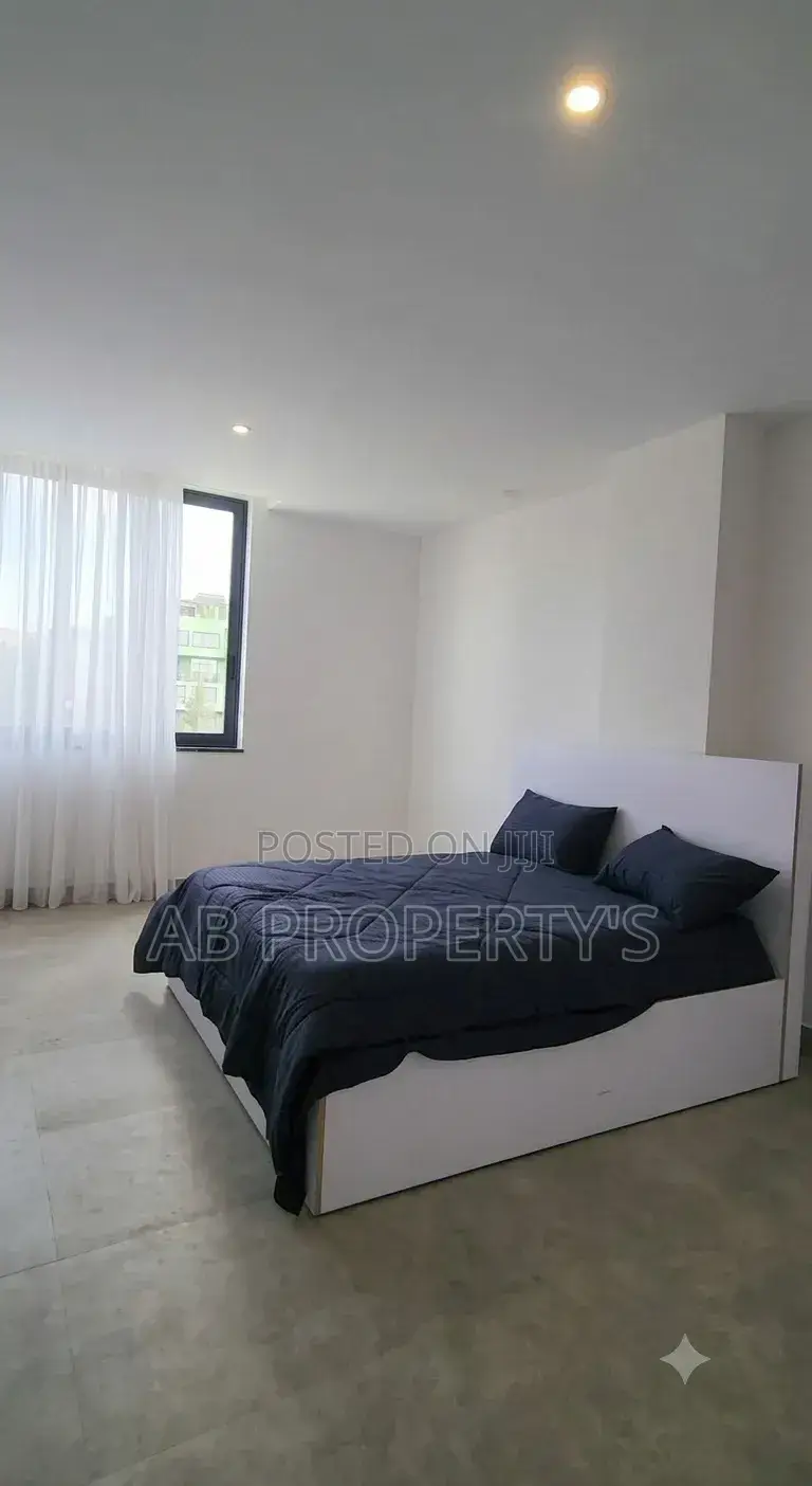 Furnished 3bdrm Apartment in Bole Danbel for sale