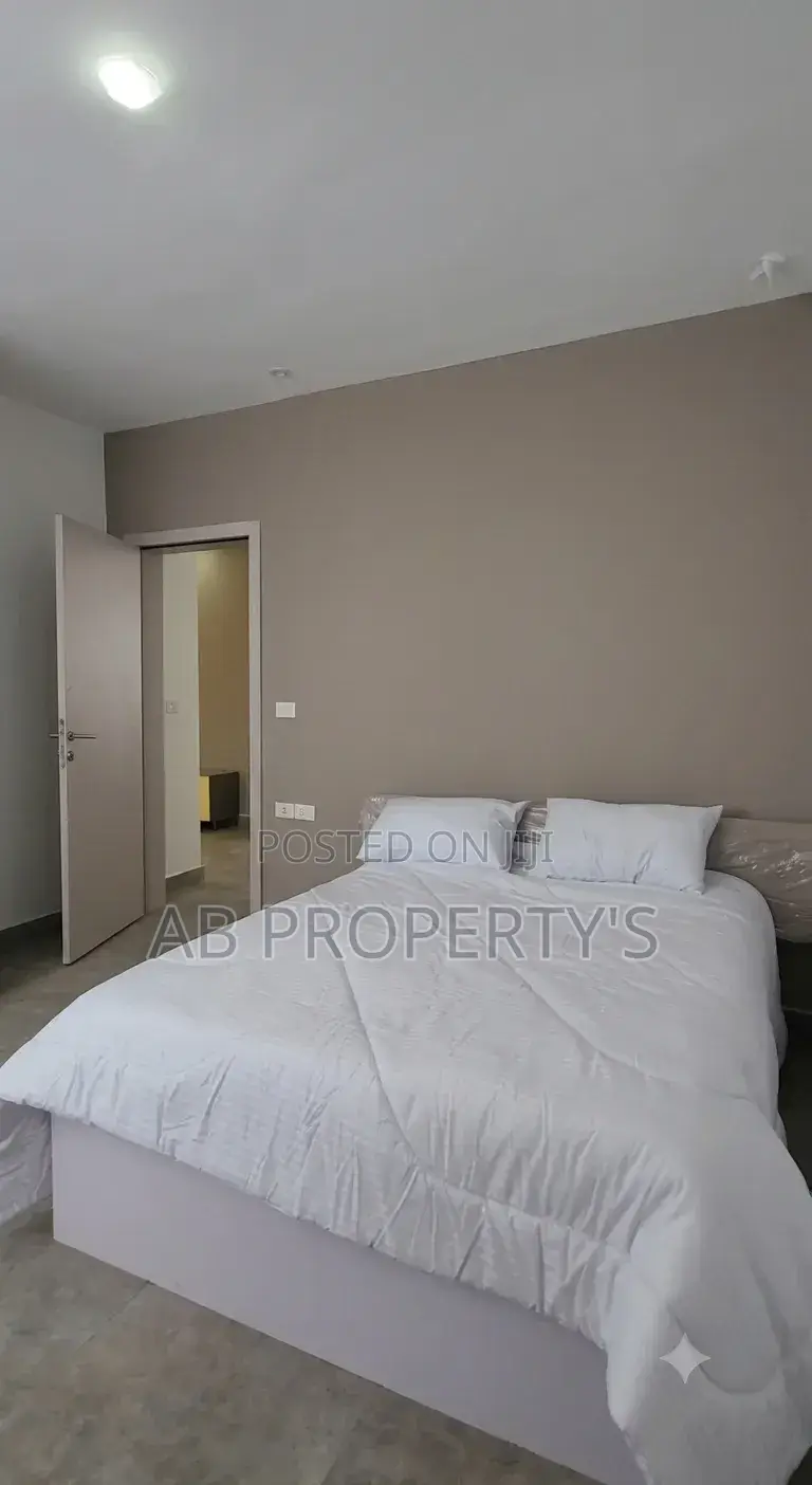 Furnished 3bdrm Apartment in Bole Danbel for sale