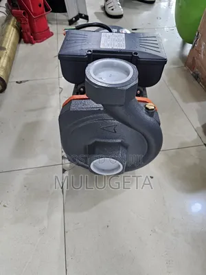 Leo Serfase Pump Xsm80