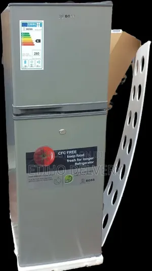 It Is a Double-Door Model, Featuring a Top Freezer and a Bottom Fridge