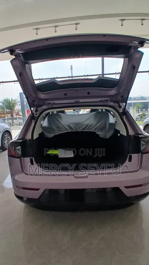 New Arcfox T1 2025 Pink