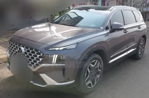 Hyundai Santa Fe 2022 Gray