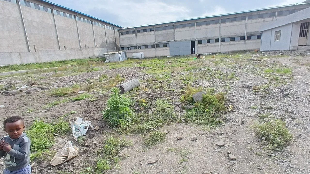 Warehouse Sale ,Attractive Price መጋዘን የሚሸጥ አዲስ አበባ Individual Zone