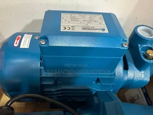 Aquastrong Peripheral Water Pump
