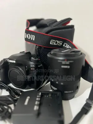 Canon 80d With 18-135mm Usm Lens