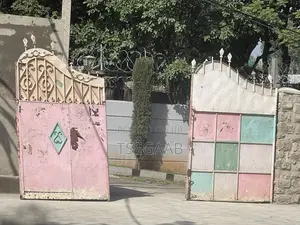 Outer Metallic Door የውጭ ብረት በር ለሽያጭ