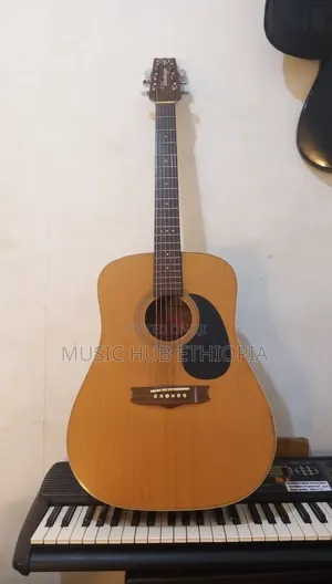 Vantage vs-25 Acoustic Guitar