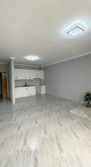 Furnished 2bdrm Apartment in መገናኛ ግብርና ሚኒስቴር, Yeka for sale