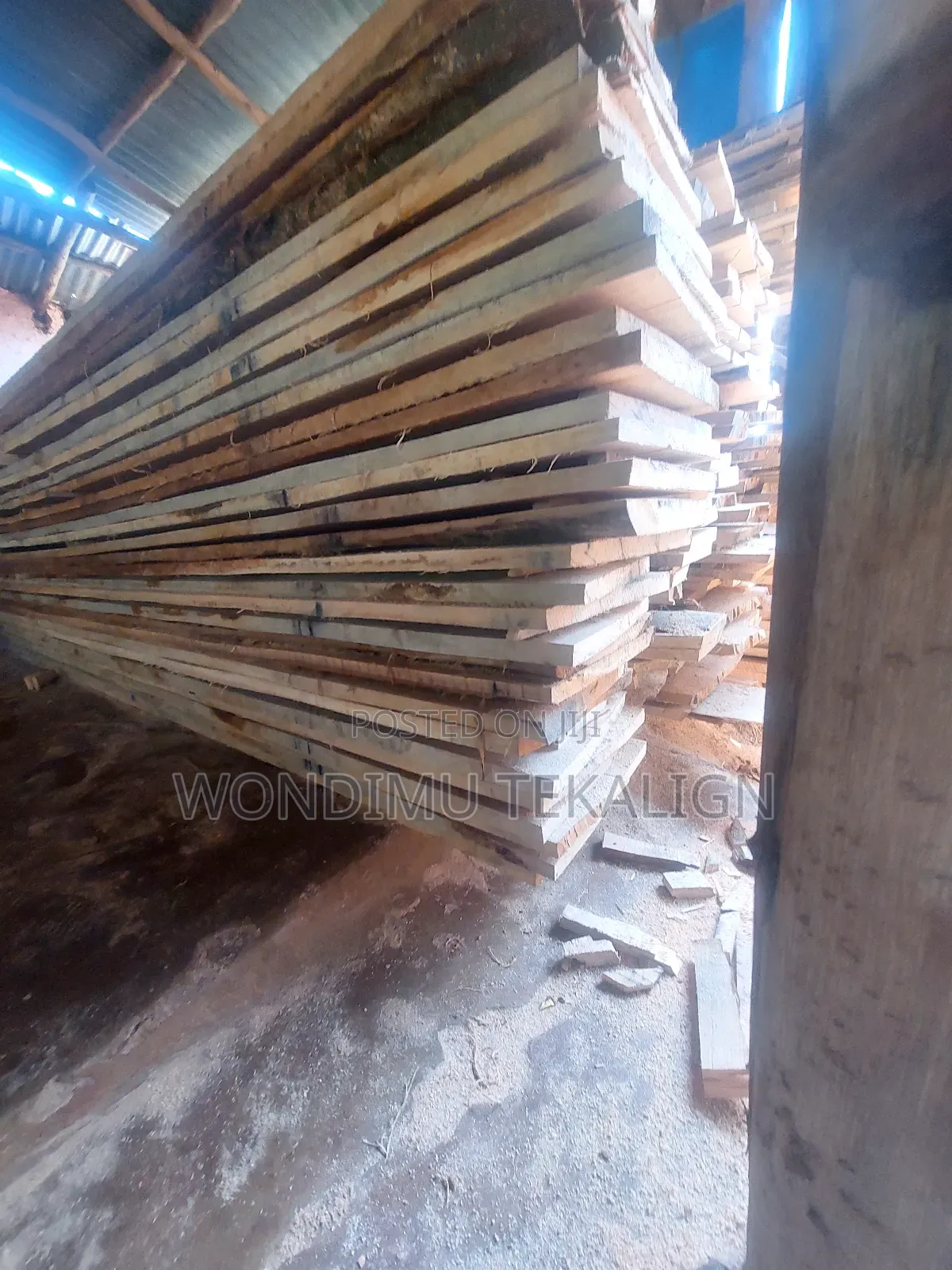 Timber,Morale