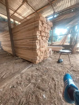 Timber,Morale