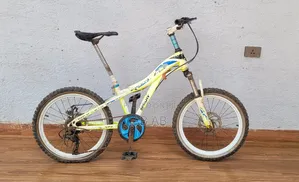 Phoenix Bicycle