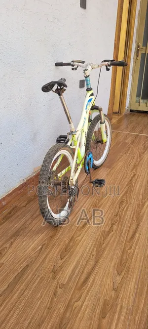 Phoenix Bicycle
