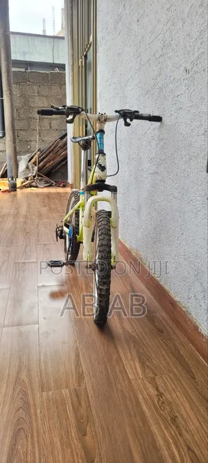 Phoenix Bicycle