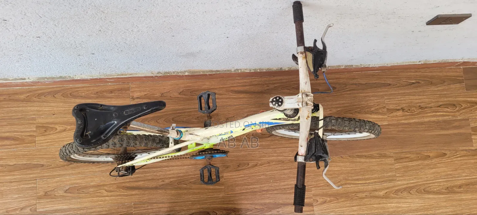 Phoenix Bicycle