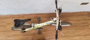 Phoenix Bicycle