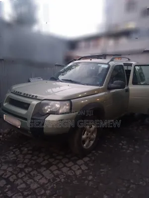 Land Rover Freelander 2004 Gray