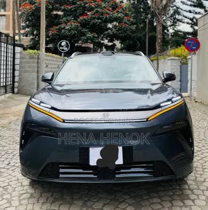 BYD Tang EV 2025