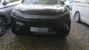 BYD Tang EV 2025 Black