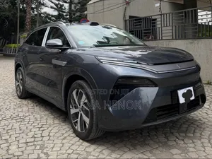 BYD Tang EV 2025 Black