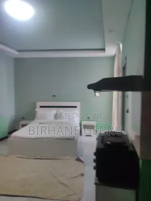 Furnished 1bdrm Apartment in Studio Fernished, Bole for rent