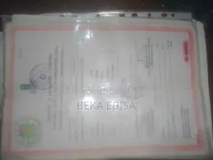 በኦንላይን የሽያጭ ስራ መስራት ለምትፈልጉ ሁሉ ፈጣን እና ንቁ ሻጭ እንፈልጋለን