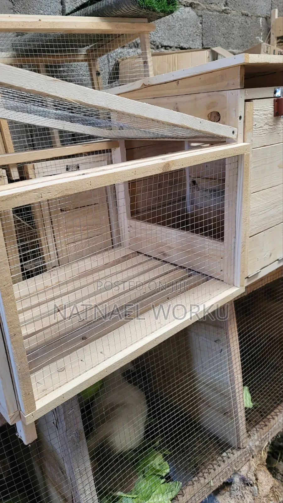 Animal Cage