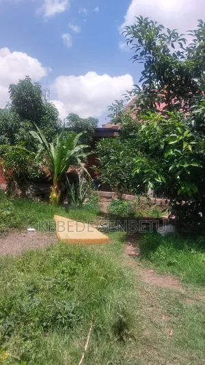 3bdrm House in Oromia, East Shewa for sale