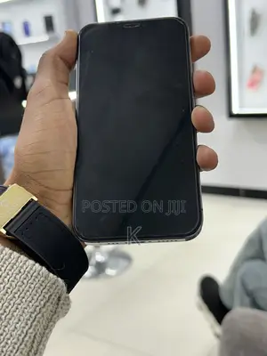 Apple iPhone 12 Pro 128 GB Gray