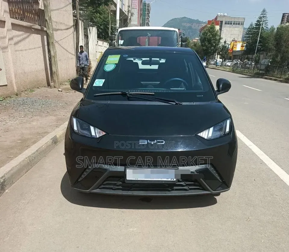 BYD Seagull 2024 Black