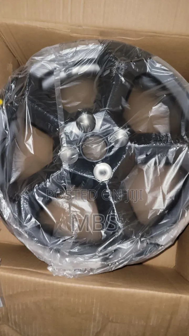 Byd Seagull Alloy Rim New