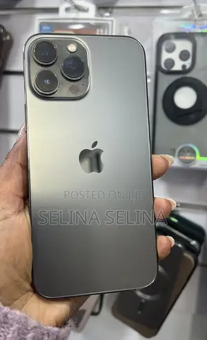 Apple iPhone 13 Pro Max 256 GB Gray