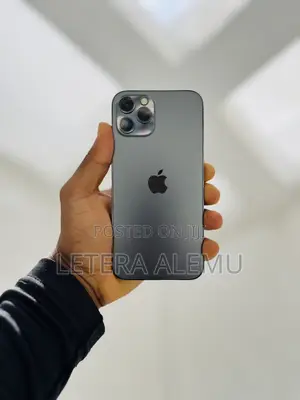 Apple iPhone 12 Pro 256 GB Gray