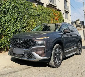 Hyundai Santa Fe 2024 Gray