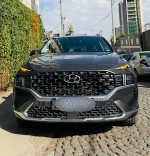 Hyundai Santa Fe 2024 Gray